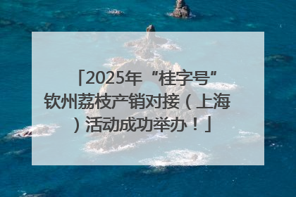 2025年“桂字号”钦州荔枝产销对接（上海）活动成功举办！