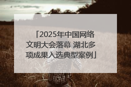 2025年中国网络文明大会落幕 湖北多项成果入选典型案例