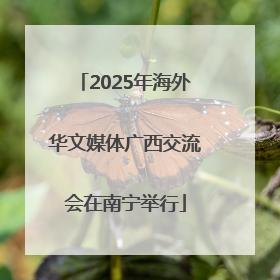 2025年海外华文媒体广西交流会在南宁举行