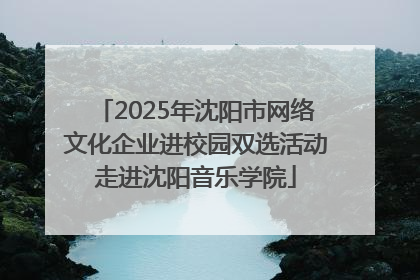 2025年沈阳市网络文化企业进校园双选活动走进沈阳音乐学院