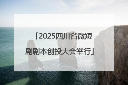 2025四川省微短剧剧本创投大会举行