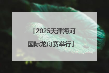 2025天津海河国际龙舟赛举行