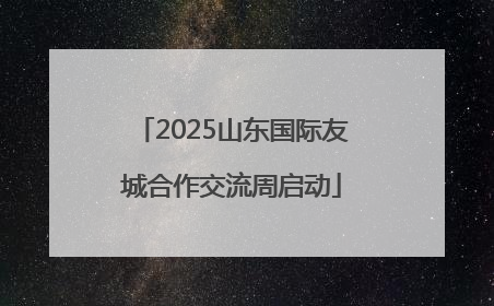2025山东国际友城合作交流周启动