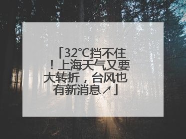 32℃挡不住！上海天气又要大转折，台风也有新消息↗
