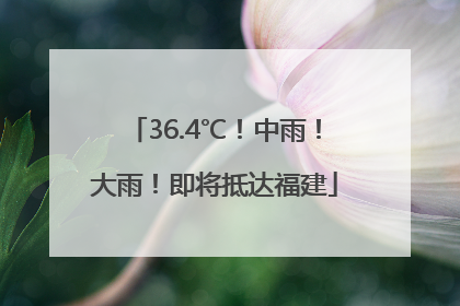 36.4℃！中雨！大雨！即将抵达福建