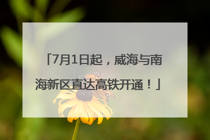 7月1日起，威海与南海新区直达高铁开通！