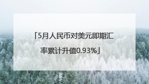 5月人民币对美元即期汇率累计升值0.93%