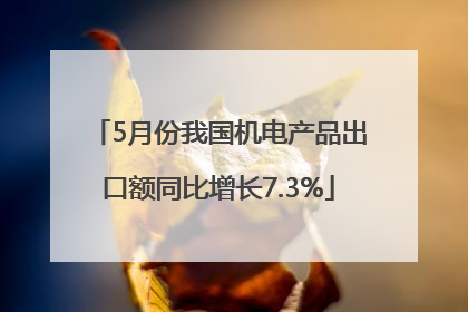 5月份我国机电产品出口额同比增长7.3%