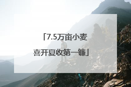 7.5万亩小麦喜开夏收第一镰