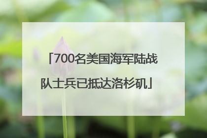 700名美国海军陆战队士兵已抵达洛杉矶