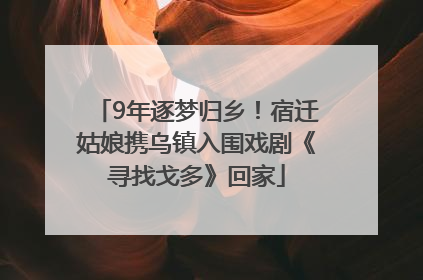 9年逐梦归乡！宿迁姑娘携乌镇入围戏剧《寻找戈多》回家