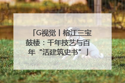 G视觉丨榕江三宝鼓楼：千年技艺与百年“活建筑史书”