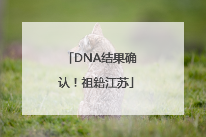DNA结果确认！祖籍江苏