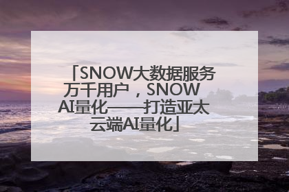 SNOW大数据服务万千用户，SNOW AI量化——打造亚太云端AI量化