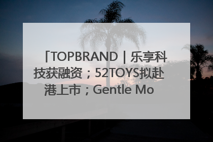 TOPBRAND｜乐享科技获融资；52TOYS拟赴港上市；Gentle Monster合作谷歌；Valentino传播官离职