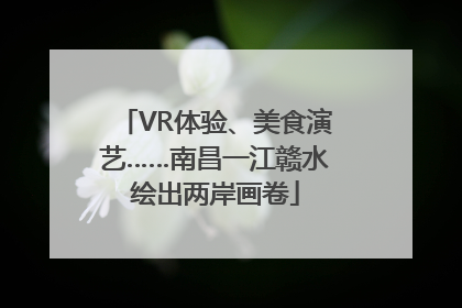 VR体验、美食演艺……南昌一江赣水绘出两岸画卷